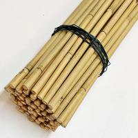 China Natural Bamboo Plant Support Stakes for Indoor Plants, Bamboo Sticks Poles Garden Bamboo Stake 40cm 595cm on sale