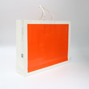 China Printing Customized Custom Printed Clothes and Shoes Paper Bags with Customized Design and CMYK/Pantone Colors wholesale