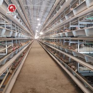 China Stainless Steel Layer Poultry Farm Cage H type 54 birds / set supplier