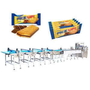 China 2.5kw Automatic Packing Machinery 700kg Sorting Auto Packaging Machine SN-250T supplier