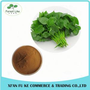 Organic Sweet Potato Leaf Extract Powder 10:1 for improve Hunman Immunity
