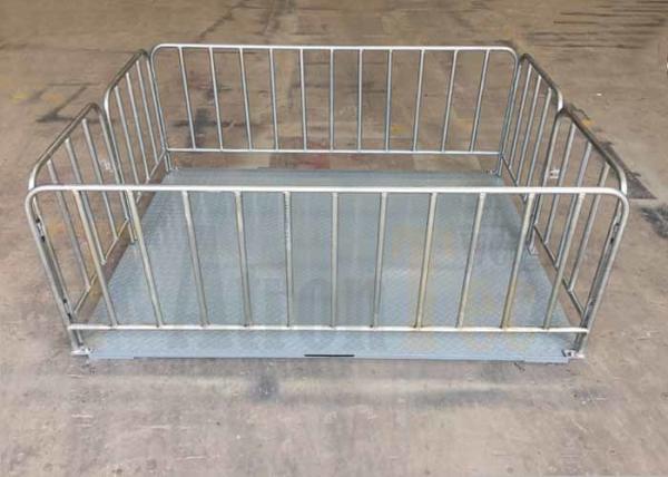 Barrier Structure X10t Cattle Livestock Weighing Scale