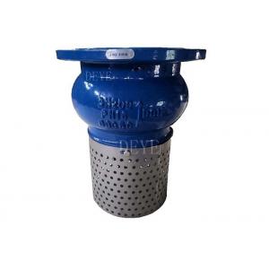 PN16 PN10 Cast Ductile Iron Foot Check Valve With Stainless Steel Screen