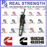 China Common Rail Fuel Injector 3766446 5634701 4088725 4903455 1846348 For QSX15 ISX15 Engine wholesale
