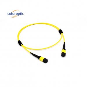 Mtp(Mpo) Patch Cable Singlemode 12 Fibre Type B Female To Female Connector Pc Polishing