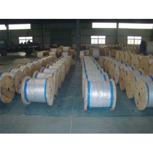 Water Resistance Galvanized Steel Wire Cable , Stranded Steel Wire 100 Kgs-300 Kgs Packing