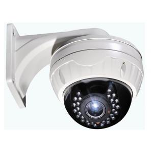 China Wired 1/3 Sony Vandal-proof IR camera,Waterproof IP66 camera ES-M360 supplier