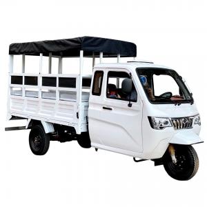 China 800W Semi-Cabin Motorized Cargo Tricycle with Enclosed Cabin and Plastic Cargo Cover supplier