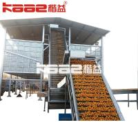 China Turnkey Project Automatic Juice Production Line Processing Machine With Mechanical on sale