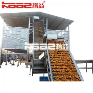 Turnkey Project Automatic Juice Production Line Processing Machine With Mechanical