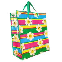 China Cmyk Or Panton Color Grocery Shopping Bag 20kg Reusable Shopping Bags on sale