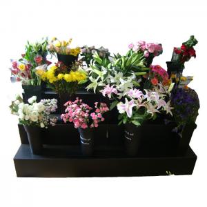PP Polypropylene Flower Display Stand Black Corflute 8mm Thickness