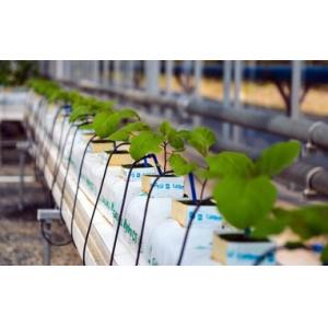 Dropping System Multi Span Greenhouse , PE Diy Hydroponic Greenhouse Gutter Height 3.0-6.0m