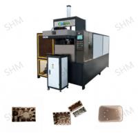 China Molded Pulp Egg Carton Maker Automatic Egg Carton Manufacturing Machine on sale