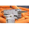 Multi-Functional Blade Type Carrot Peeling Machine