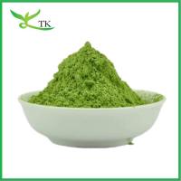 China Greens Powder Superfood Medicago Sativa Alfalfa Powder Alfalfa Extract Alfalfa Grass Powder on sale