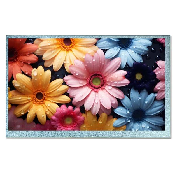 7.0 pulgadas TN Industrial TFT Display LCD de alta resolución con interfaz RGB
