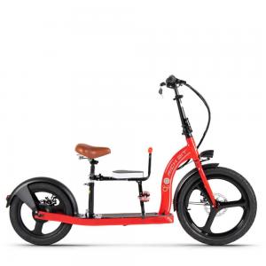 10Ah 36v Electric Scooter Bike For Adults Front 20 Inch Rear 16 Inch 350w RICHBIT H100 Plus