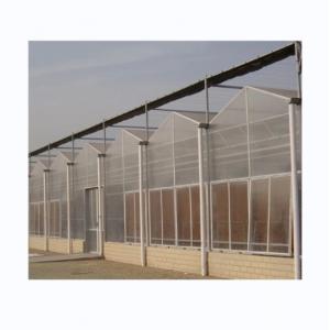 8mm PC Sheet Multi Span Agricultural Greenhouses For Sustainable Agriculture