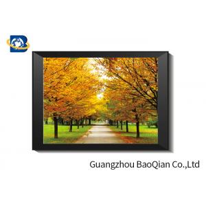 China SGS 3D Lenticular Printing Black And White Landscape Pictures For Home Decorative Wall Art Framed supplier