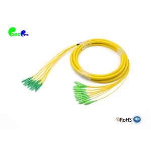 China 12cores Pre-terminou o cabo LC APC do remendo da fibra - manutenção programada do SC APC LSZH com as caudas LSZH do Fanout 2.0mm supplier