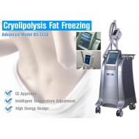 China Weight Loss Cryolipolysis Body Slimming Machine , Fat Burning Equipment Non - Surgical Liposuction on sale