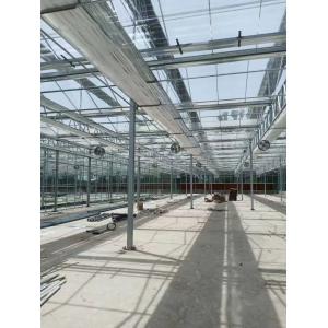 China Modern Rectangular Glass Greenhouse With Durability And Uv Protection wholesale