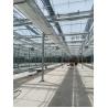 China Modern Rectangular Glass Greenhouse With Durability And Uv Protection wholesale