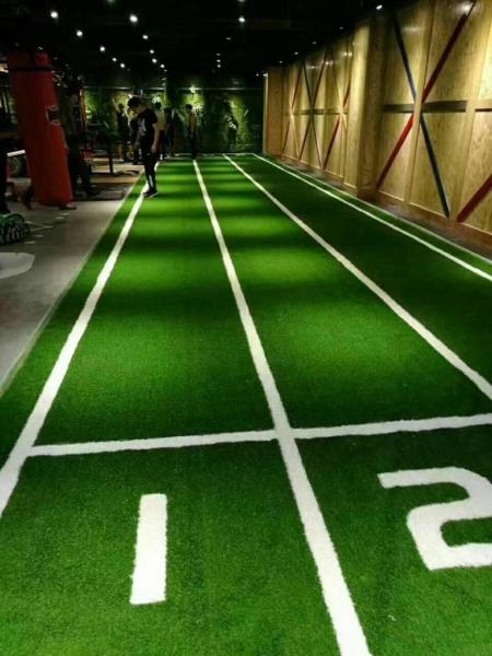 Hierba artificial respetuosa del medio ambiente del césped artificial de encargo del gimnasio