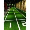 China Custom Gym Artificial Turf Environmentally Friendly Artificial Grass wholesale