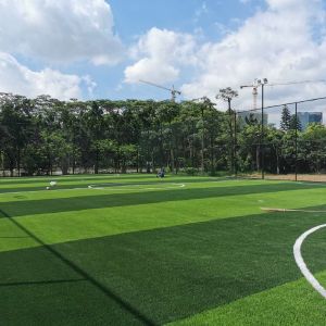 China High-Density PE Material Artificial Soccer Lawn with 40-60mm Pile Height and 8 Years Service Life wholesale