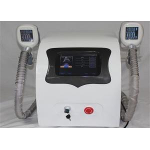 China Portable Fat Freezon Cryolipolysis Slimming Machine Fat Reducing Machine supplier