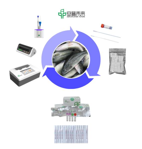 Overall solution for thermostatic detection of largemouth bass rhabdovirus
