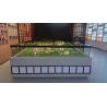 China Modelo del campus de la escuela secundaria Modelo de escala de la escuela 1:100 con paisajismo escénico wholesale