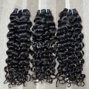China Full Hair Bundles Malaysian Curly Hair Extensions Wet and Wavy Hair 1B# supplier