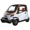 Remote Central 60V Electric Four Wheeler Car