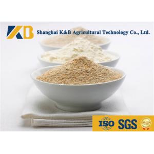 China Water - Soluble Nutribiotic Raw Organic Rice Protein Food Grade For Diet Meal wholesale