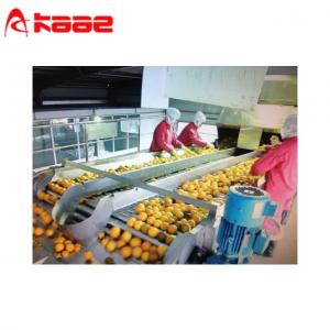 China Sorting Roller Conveyor Automatic Apple Grading Machine Roller Sorting Machine supplier