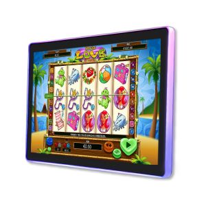 China Mmbedded Android Linux Industrial Panel PC Fanless All In One Panel Pc on sale