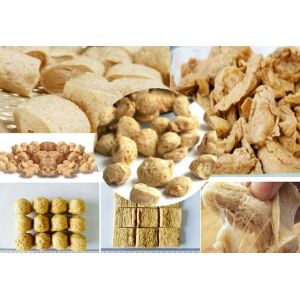 China Machine d'extrusion de soja à haute automatisation pour l'extrusion de protéines de soja texturées 500 - 600 kg/h wholesale