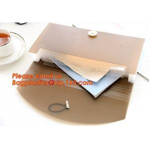 China new popular a4/letter size plastic pp poly Expandable Desk top file folder organizer supplier