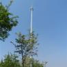 China Telecommunication Monopole Towers Outter Climbing Rung Two Platforms wholesale