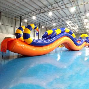 China Giant Inflatable Water Slide With Durable 0.9 mm PVC Tarpaulin supplier