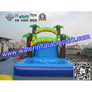 China Popular Inflatable Wet Slide For Rental Business / Party Inflatable Slide Rentals supplier