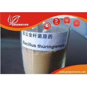 White powder Bacillus thuringiensis Insecticide for lepidopterous larvae control