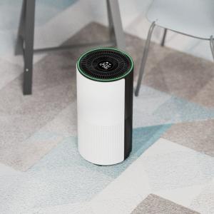 PM2.5 particle Indoor Room Air Purifier Removes Viruses and Bacteria