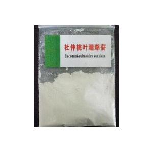 Eucommia Ulmoides Leaf Extract Aucubin 98% powder