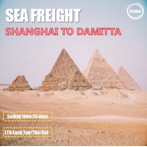 3 Shifts / Week Global Sea Freight Logistics Shanghai To Damitta Egypt Direct Sailing