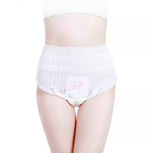 Breathable Sanitary Napkin Pants for Lady in Menstrual Cycle Overnight Protection