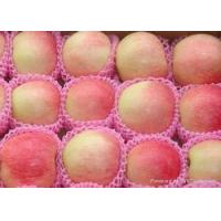 China Pomme rouge de gala for sale